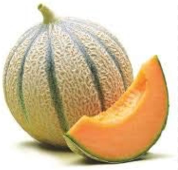 Bio Cantaloupe Melone