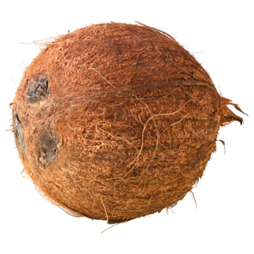 Bio Kokosnüsse 1 Stück