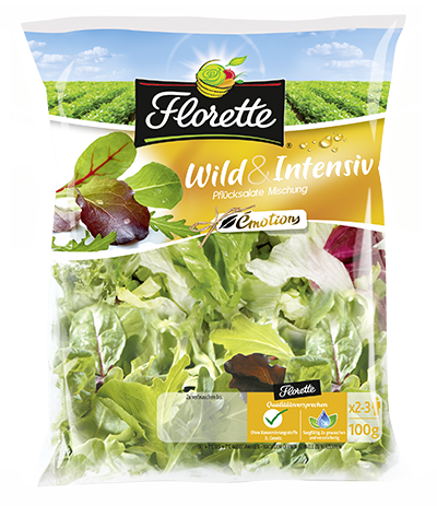 Florette Salatmischung Wild & Intensiv 100 g