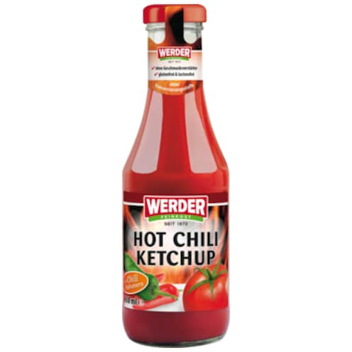 WERDER Feinkost Hot Chili Ketchup 450 ml