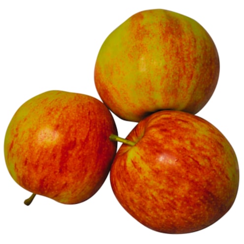Äpfel Honeycrunch