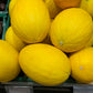 Honigmelone gelb 1 Stück